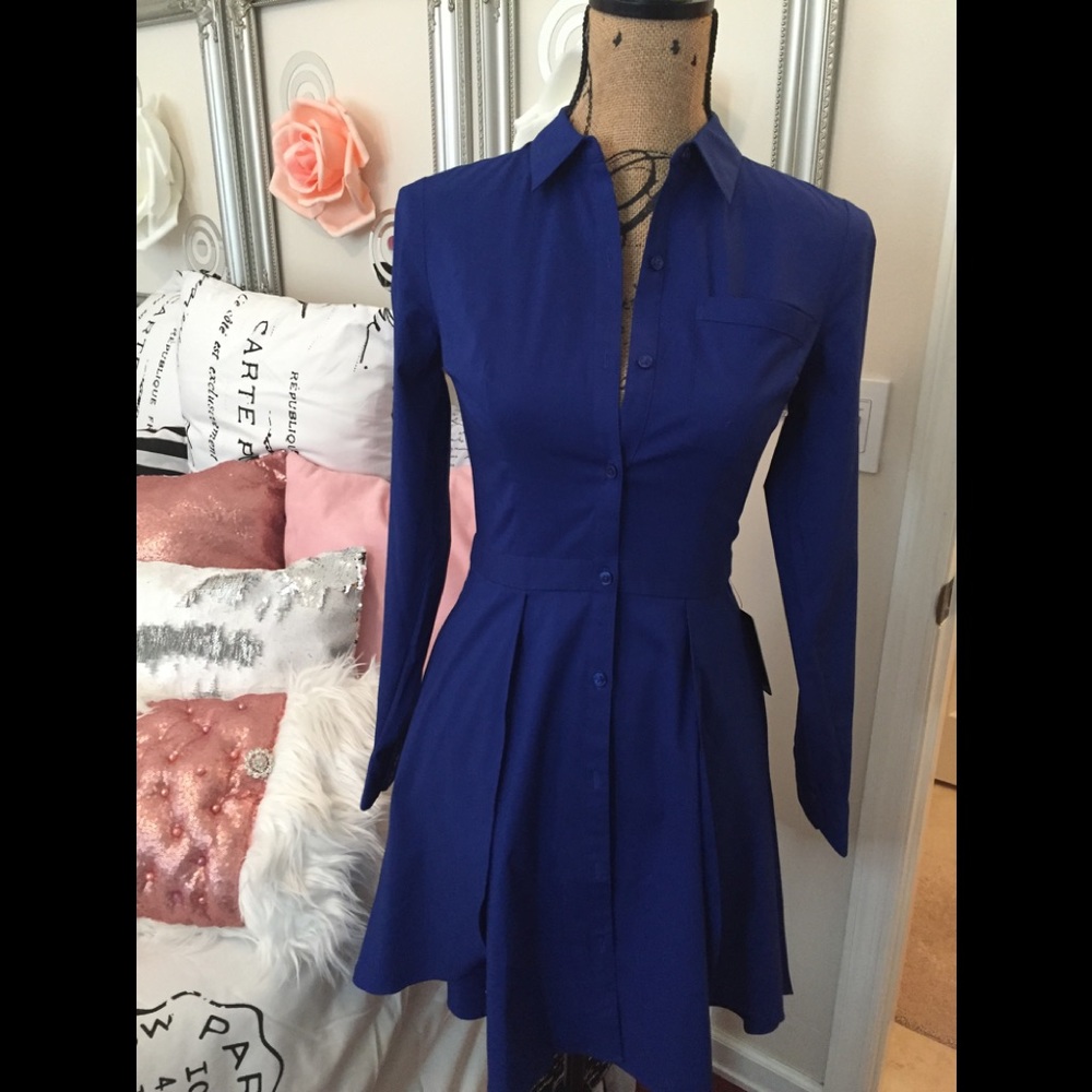 Blue Sophisticated Button Up Dress